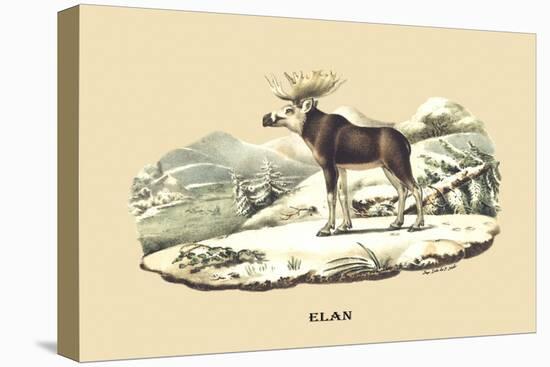 Elan-E.f. Noel-Stretched Canvas