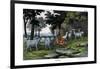 Eland, 1860-null-Framed Giclee Print