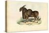 Eland, 1863-79-Raimundo Petraroja-Stretched Canvas