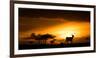 Eland at sunset, Masai Mara, Kenya, East Africa, Africa-Karen Deakin-Framed Photographic Print