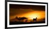 Eland at sunset, Masai Mara, Kenya, East Africa, Africa-Karen Deakin-Framed Photographic Print