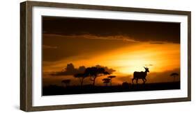 Eland at sunset, Masai Mara, Kenya, East Africa, Africa-Karen Deakin-Framed Photographic Print