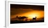 Eland at sunset, Masai Mara, Kenya, East Africa, Africa-Karen Deakin-Framed Photographic Print