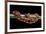 Elaphe Guttata Guttata (Corn Snake)-Paul Starosta-Framed Photographic Print