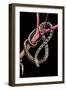 Elaphe Taeniura Friesi (Beauty Snake)-Paul Starosta-Framed Photographic Print