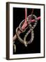 Elaphe Taeniura Friesi (Beauty Snake)-Paul Starosta-Framed Photographic Print