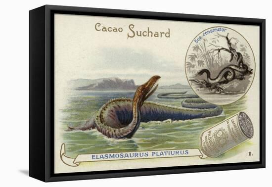 Elasmosaurus and Boa Constrictor-null-Framed Stretched Canvas