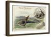 Elasmosaurus and Boa Constrictor-null-Framed Giclee Print