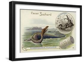 Elasmosaurus and Boa Constrictor-null-Framed Giclee Print