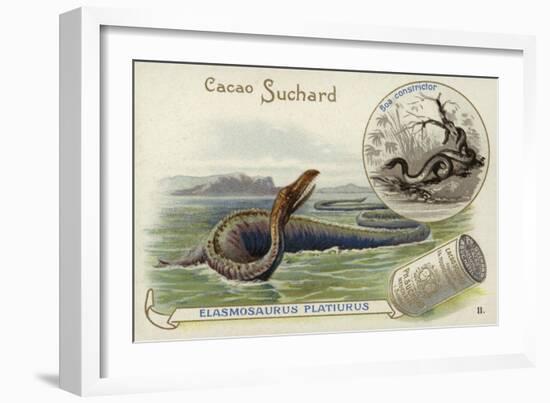 Elasmosaurus and Boa Constrictor-null-Framed Giclee Print