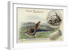 Elasmosaurus and Boa Constrictor-null-Framed Giclee Print