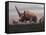 Elasmotherium Dinosaurs Grazing in the Steppe Grass-Stocktrek Images-Framed Stretched Canvas