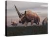 Elasmotherium Dinosaurs Grazing in the Steppe Grass-Stocktrek Images-Stretched Canvas