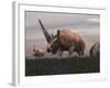Elasmotherium Dinosaurs Grazing in the Steppe Grass-Stocktrek Images-Framed Art Print