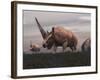 Elasmotherium Dinosaurs Grazing in the Steppe Grass-Stocktrek Images-Framed Art Print