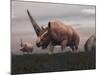 Elasmotherium Dinosaurs Grazing in the Steppe Grass-Stocktrek Images-Mounted Art Print
