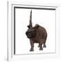 Elasmotherium on White Background-Stocktrek Images-Framed Art Print