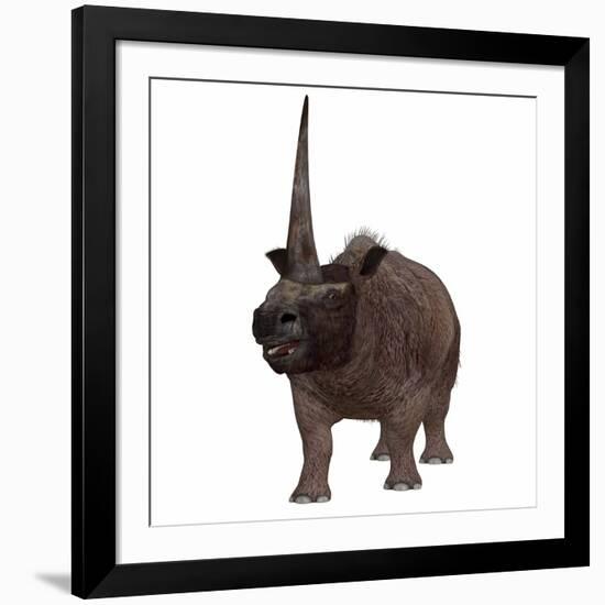 Elasmotherium on White Background-Stocktrek Images-Framed Art Print