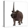 Elasmotherium on White Background-Stocktrek Images-Stretched Canvas