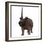 Elasmotherium on White Background-Stocktrek Images-Framed Art Print