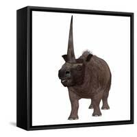 Elasmotherium on White Background-Stocktrek Images-Framed Stretched Canvas