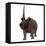 Elasmotherium on White Background-Stocktrek Images-Framed Stretched Canvas