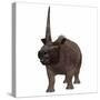 Elasmotherium on White Background-Stocktrek Images-Stretched Canvas