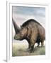 Elasmotherium-null-Framed Photographic Print