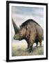 Elasmotherium-null-Framed Photographic Print