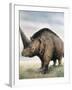 Elasmotherium-null-Framed Photographic Print