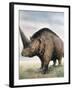 Elasmotherium-null-Framed Photographic Print