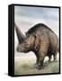 Elasmotherium-null-Framed Stretched Canvas