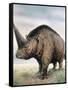 Elasmotherium-null-Framed Stretched Canvas