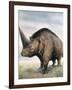 Elasmotherium-null-Framed Photographic Print