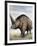 Elasmotherium-null-Framed Photographic Print