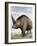 Elasmotherium-null-Framed Photographic Print