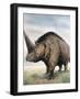 Elasmotherium-null-Framed Photographic Print