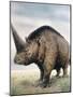 Elasmotherium-null-Mounted Photographic Print