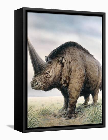 Elasmotherium-null-Framed Stretched Canvas