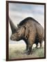 Elasmotherium-null-Framed Photographic Print