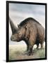 Elasmotherium-null-Framed Photographic Print