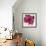 Elated Poppy-Ivo Stoyanov-Framed Art Print displayed on a wall