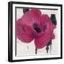 Elated Poppy-Ivo Stoyanov-Framed Art Print