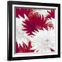 Elation I-Sally Scaffardi-Framed Art Print