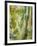 Elation II-Rikki Drotar-Framed Giclee Print