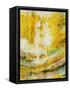 Elation III-Rikki Drotar-Framed Stretched Canvas