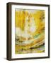 Elation III-Rikki Drotar-Framed Giclee Print