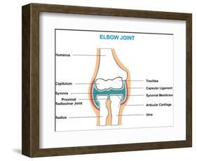 Elbow Joint Cross-Section-udaix-Framed Art Print