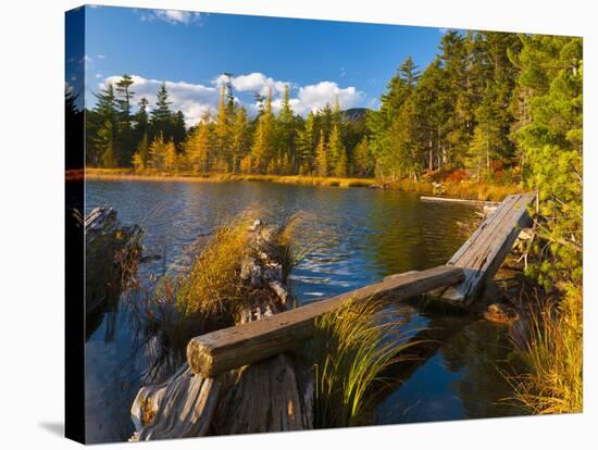 Elbow Pond, Baxter State Park, Maine, New England, United States of America, North America-Alan Copson-Stretched Canvas