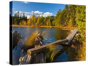 Elbow Pond, Baxter State Park, Maine, New England, United States of America, North America-Alan Copson-Stretched Canvas